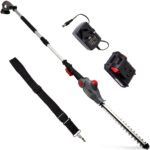 NETTA 20V Cordless Pole Hedge Trimmer - Long Reach Telescopic Cutter with Adjustable Head